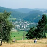 公寓 Komfort-fewo Gluecksgriff Mit Garten